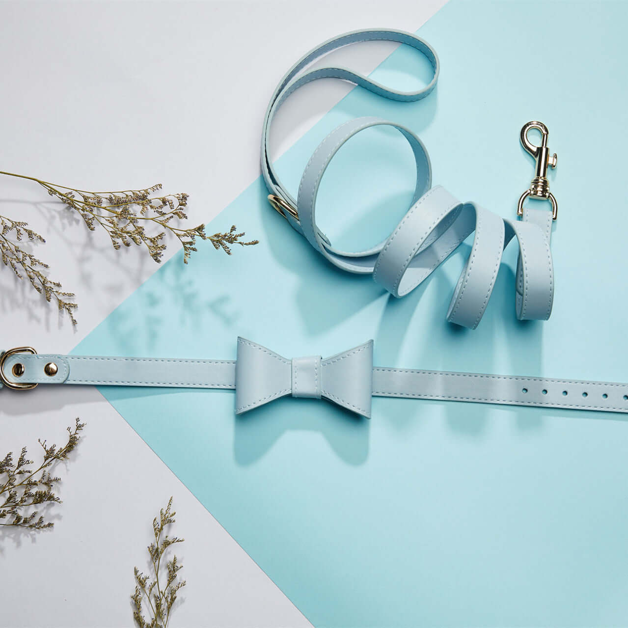 Ensemble collier et laisse pour animaux avec un noeud mignon de couleur bleue sur fond pastel.