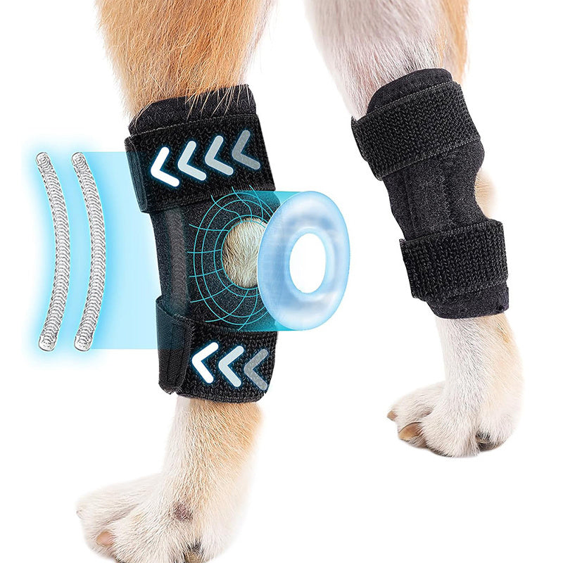 Genouillère pour chien noire, idéale pour soutenir les articulations et favorisant la mobilité pendant la réhabilitation.