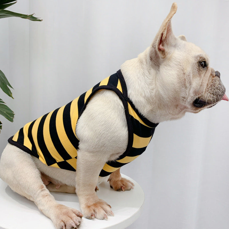 Chien français élégant portant un t-shirt rayé jaune et noir en coton pour les journées d'été.