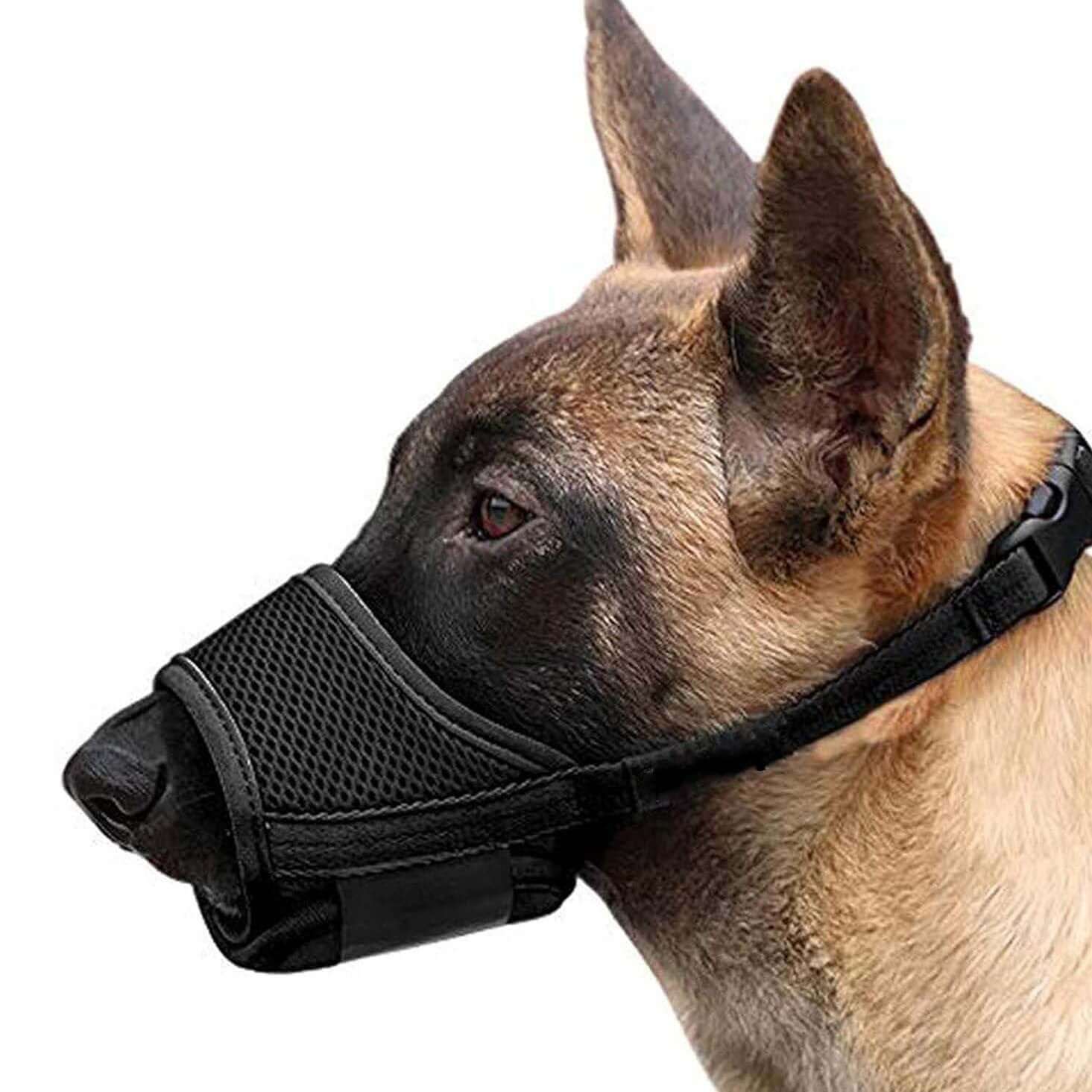 Muselière mesh pour chiens, adaptée à toutes tailles, offrant sécurité et confort au chien.