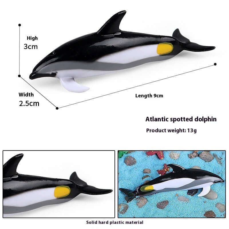 Modèle de dauphin tacheté de l'Atlantique, en plastique solide, jouet éducatif pour enfants, dimensions : 9 cm.