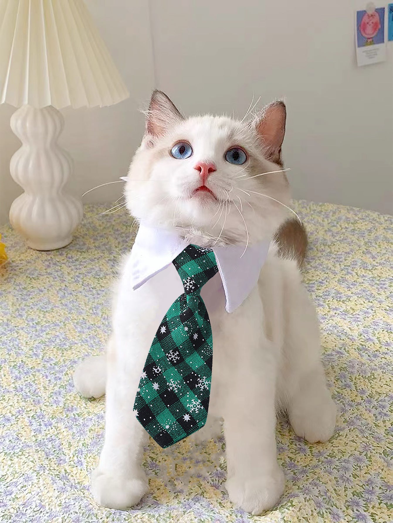 Chat portant une cravate verte à carreaux, ajoutant une touche élégante à son look.