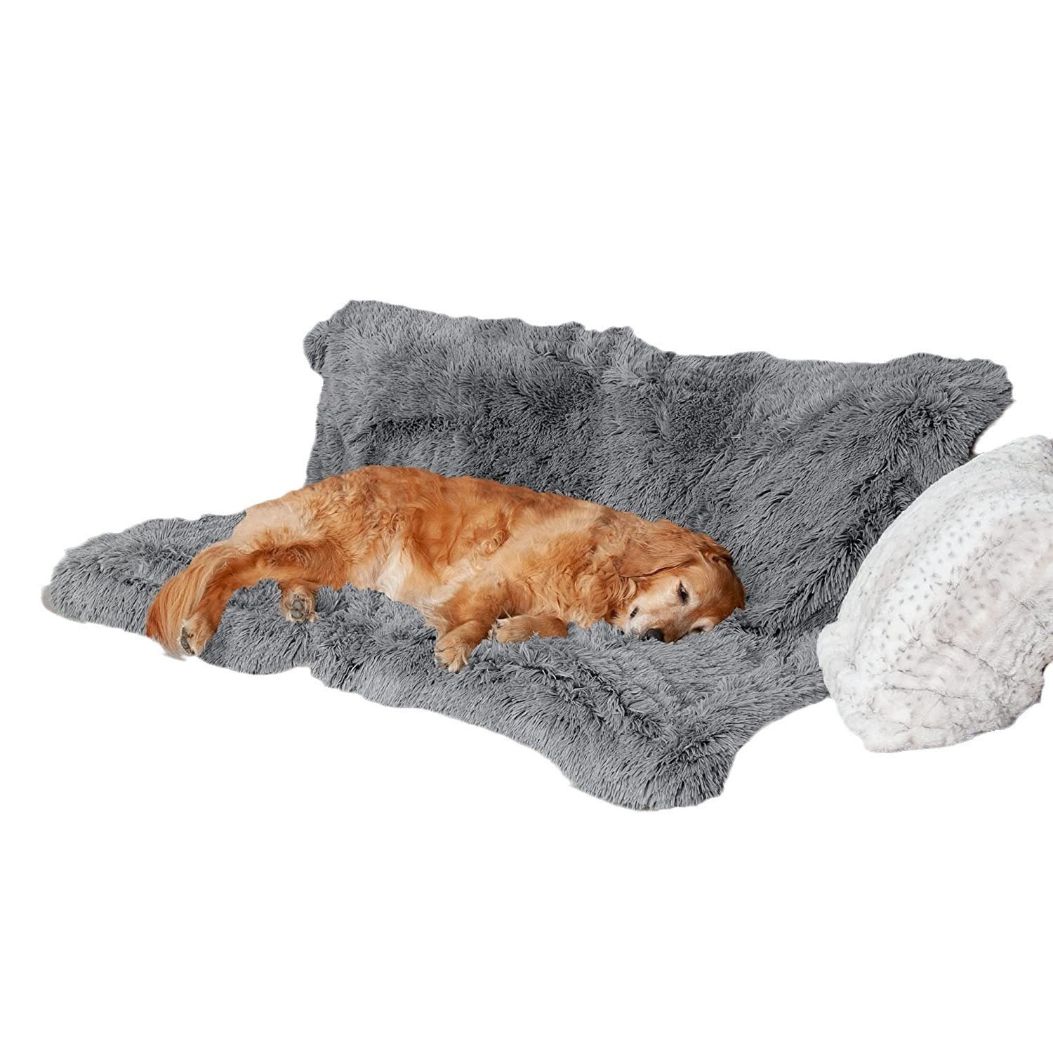 Couverture Imperméable Doublée pour Chien