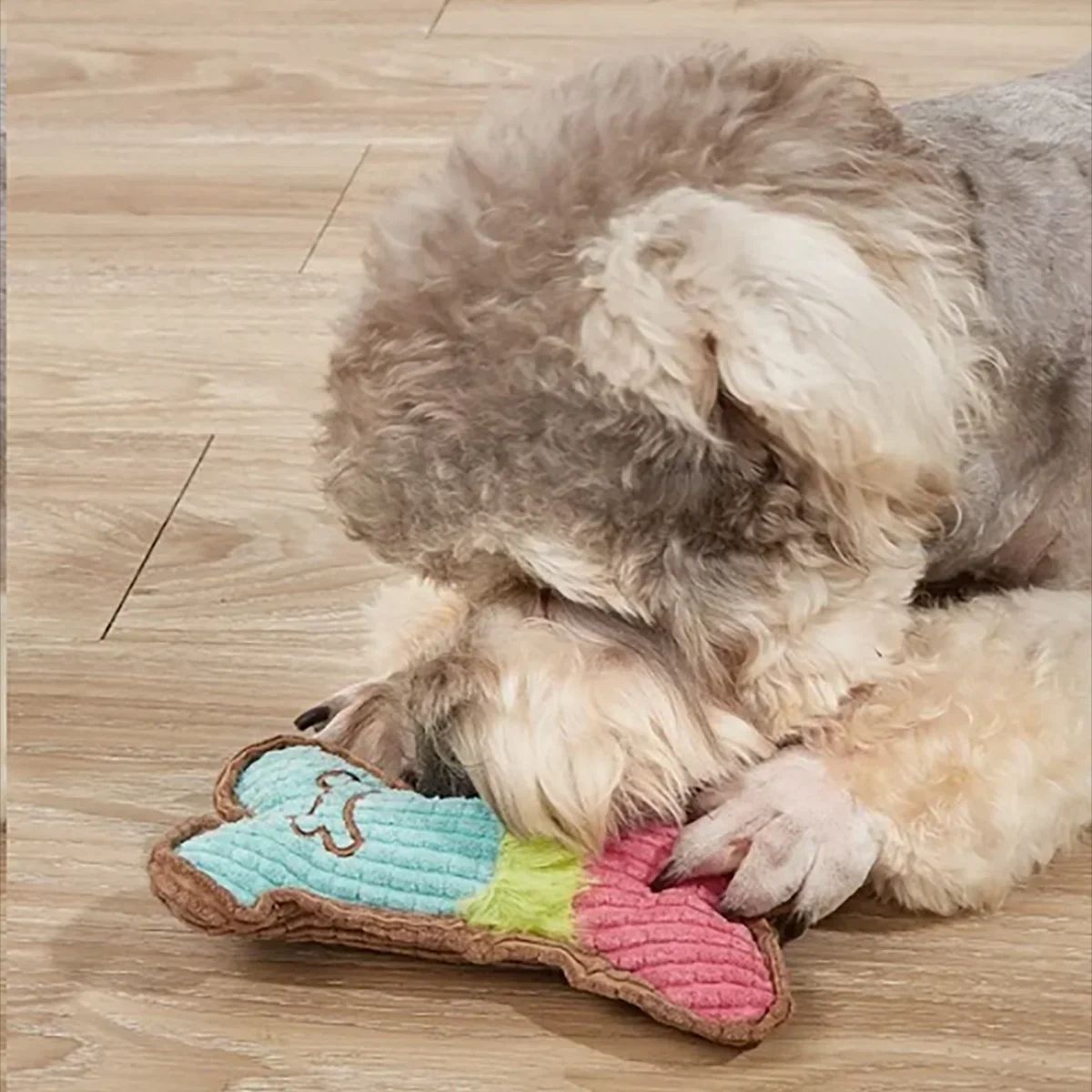 Jouet Squeaky pour Chien en Peluche