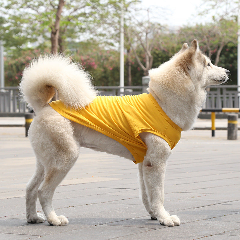 Chien au look élégant en gilet en coton jaune, parfait pour les journées chaudes d'été.