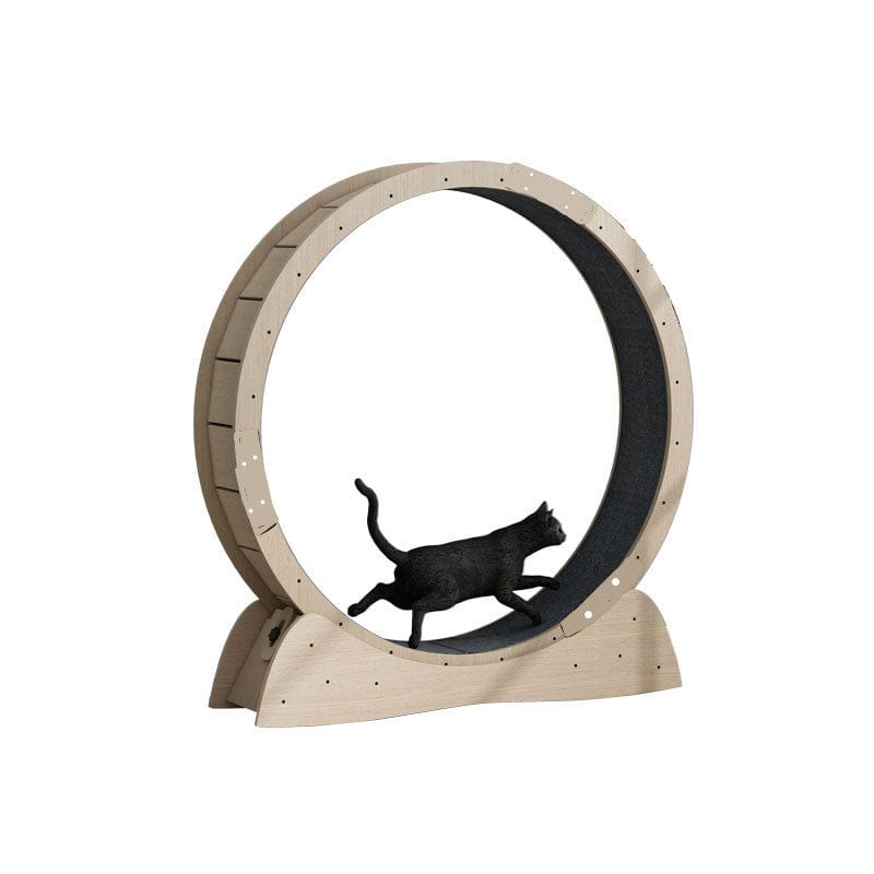 Tapis de course silencieux pour chats, conçu pour l'exercice intérieur et la perte de poids.