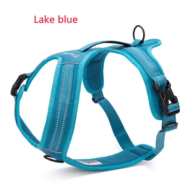 Harnais pour animaux en nylon lake blue, conçu pour un confort optimal et une liberté de mouvement.