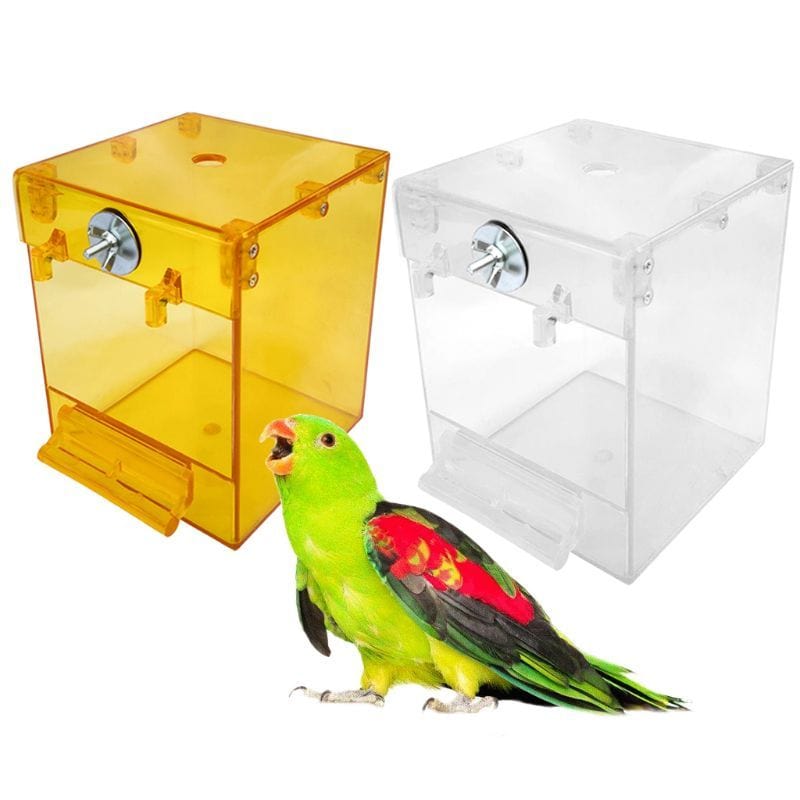 Baignoire Extérieure Transparent pour Oiseaux