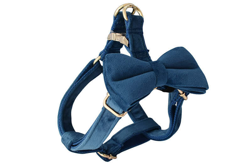 Harnais en flanelle bleu avec boucle dorée et nœud, élégant pour chien, confortable et sécurisé.