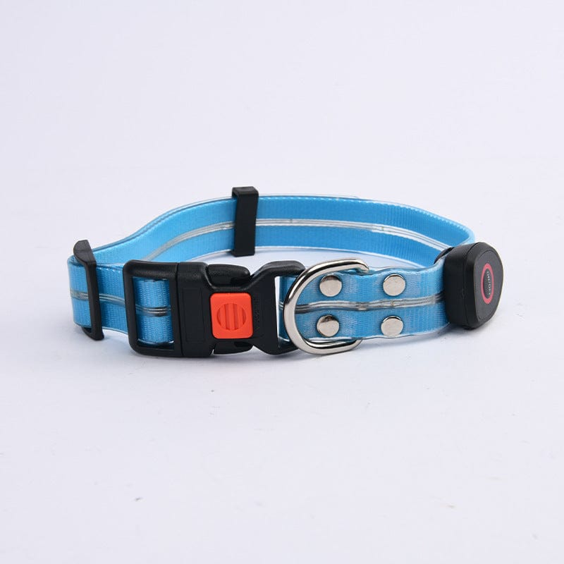 Laisse LED pour animaux de compagnie en bleu, offrant sécurité et visibilité lors des promenades, jour et nuit.