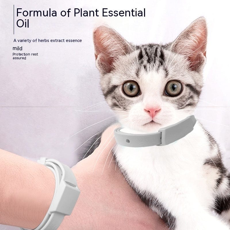 Collier anti-moustiques pour chat, conçu avec des huiles essentielles de plantes pour protection douce.