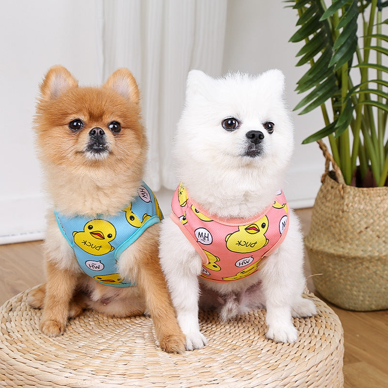 Chiens Pomeraniens portant des vêtements en coton colorés, personnalisés pour animaux, assis sur un tapis.