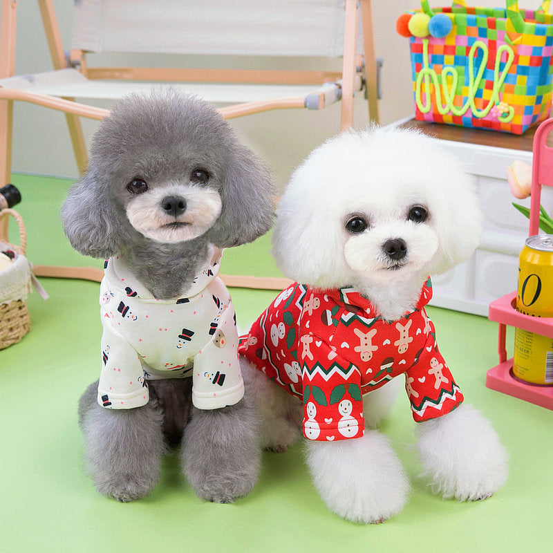 Charming dogs wearing festive Christmas sweatshirts, perfect for holiday celebrations and seasonal pet fashion.