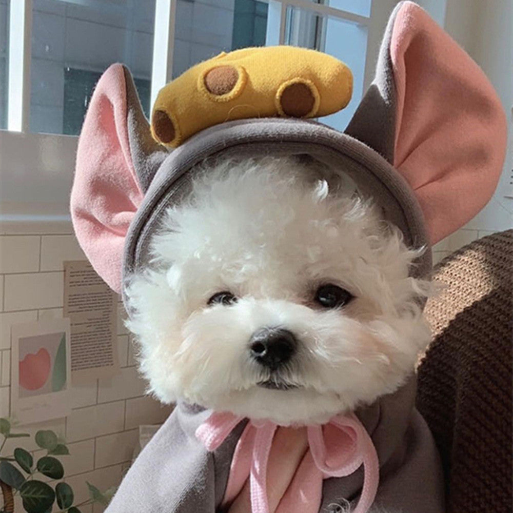 Chien habillé en costume de souris avec des oreilles roses et un chapeau de fromage, adorable et ludique.