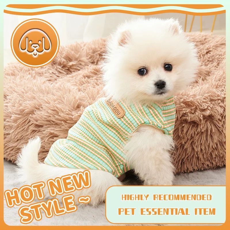 Charming small dog wearing lightweight cotton vest on cozy fur blanket, perfect for spring and summer.