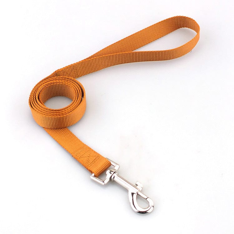 Corde de traction solide en nylon pour chien, couleur orange, avec mousqueton en métal.