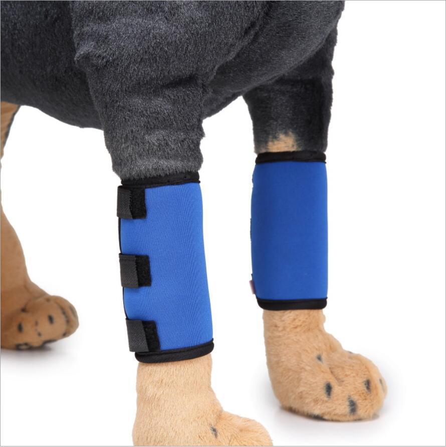 Protection de jambe pour chien en bleu, offrant confort et sécurité pour les pattes de votre compagnon.