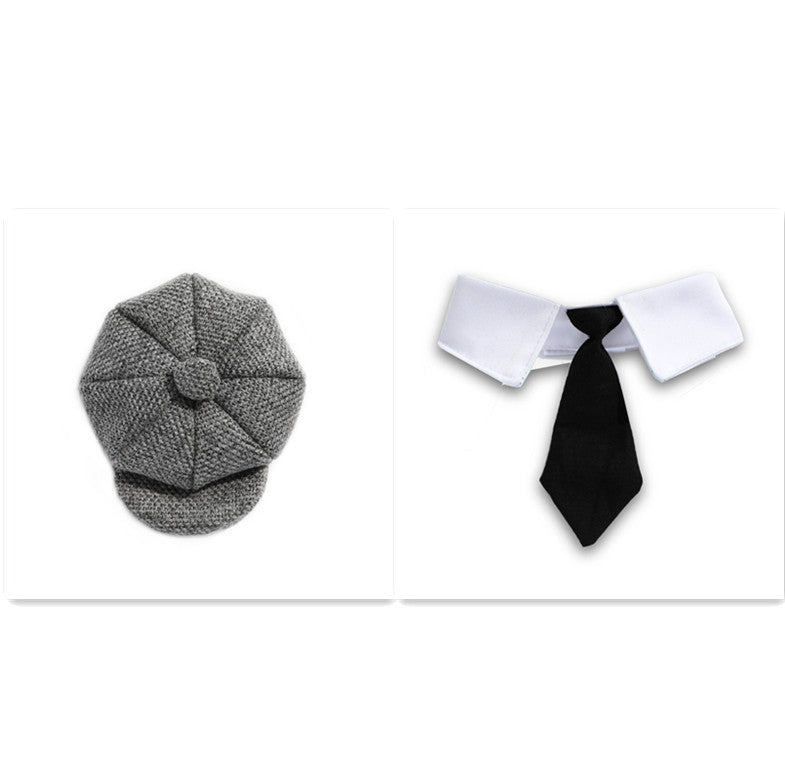 Beret and tie set for cats, adding sophistication to your pet's style.