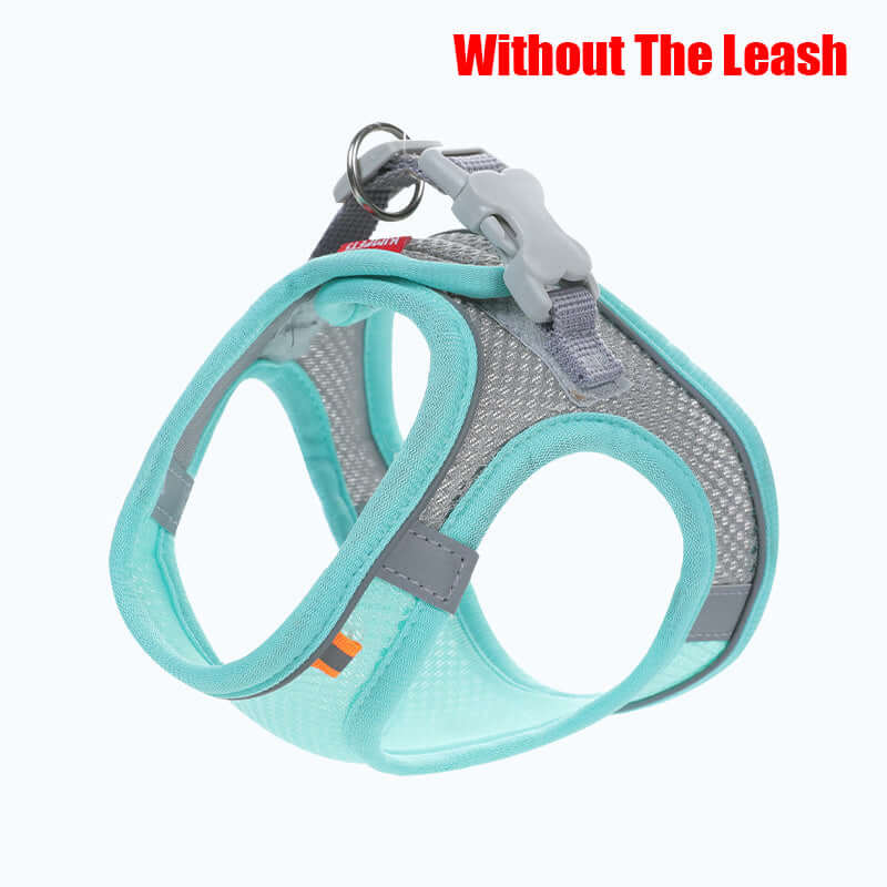 Harnais de poitrine en maille turquoise pour chien, conçu pour le confort et la sécurité en promenade.