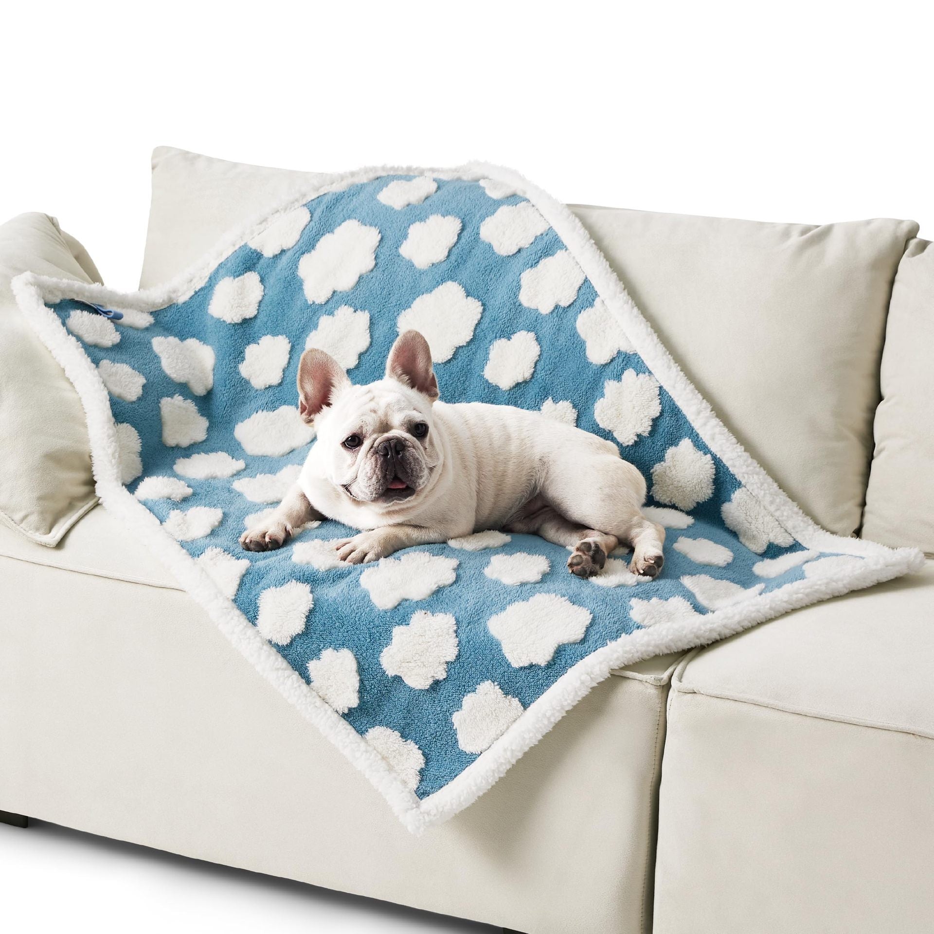 Couverture Impermeable pour Chiens en Coton Épais