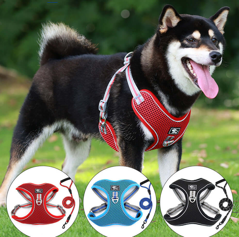 Harnais de poitrine réfléchissant pour grands chiens, disponible en rouge, bleu et noir, parfait pour les aventures en plein air.