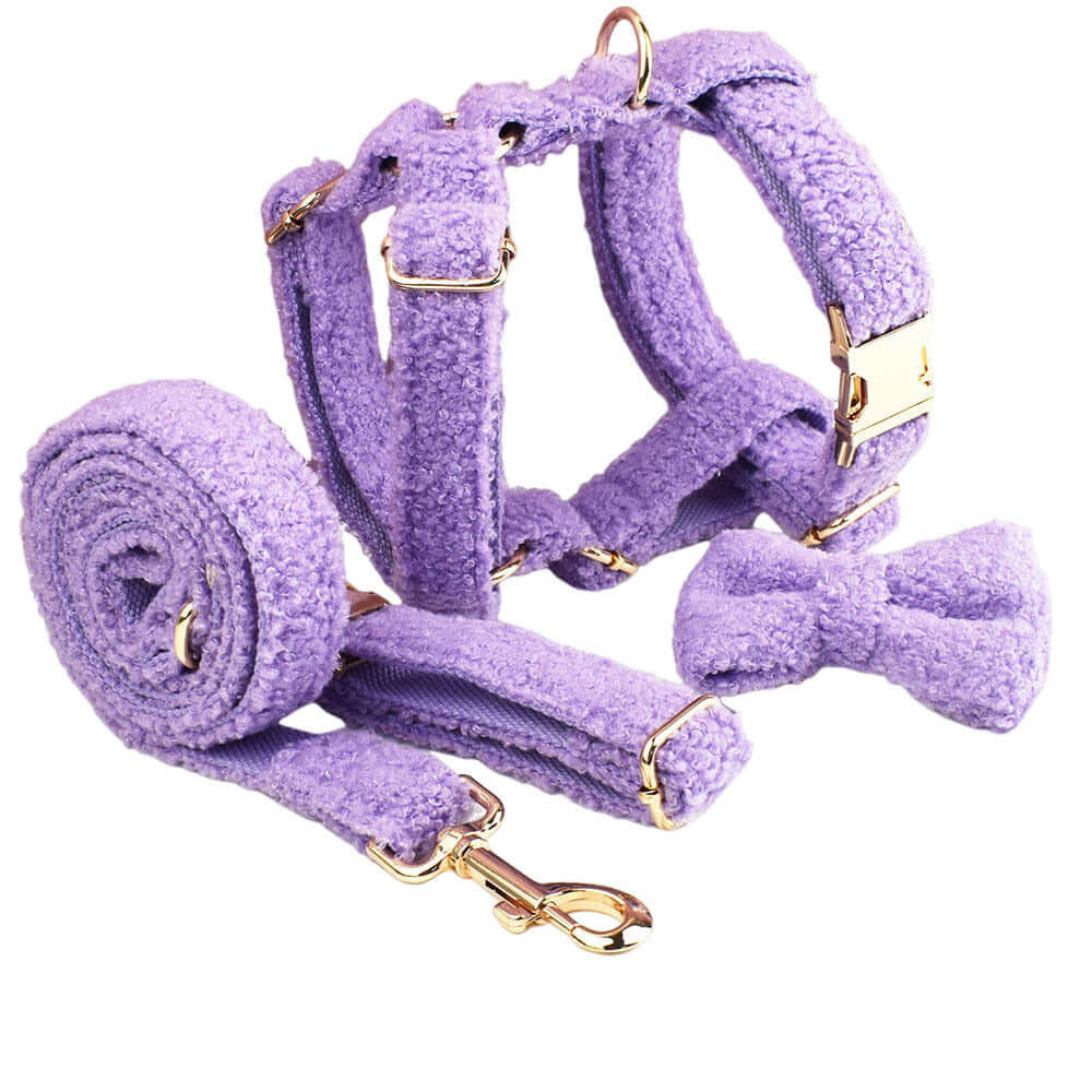 Sac à dos violet pour petit chien avec collier, laisse, nœud et gilet, parfait pour des promenades élégantes.