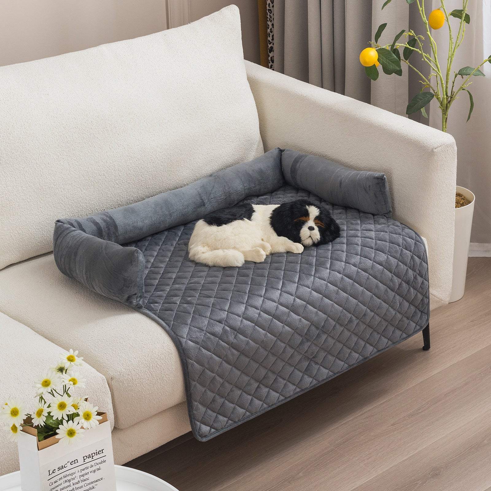 Canapé pour Chiens et Chats - Lit Douillet pour Animaux