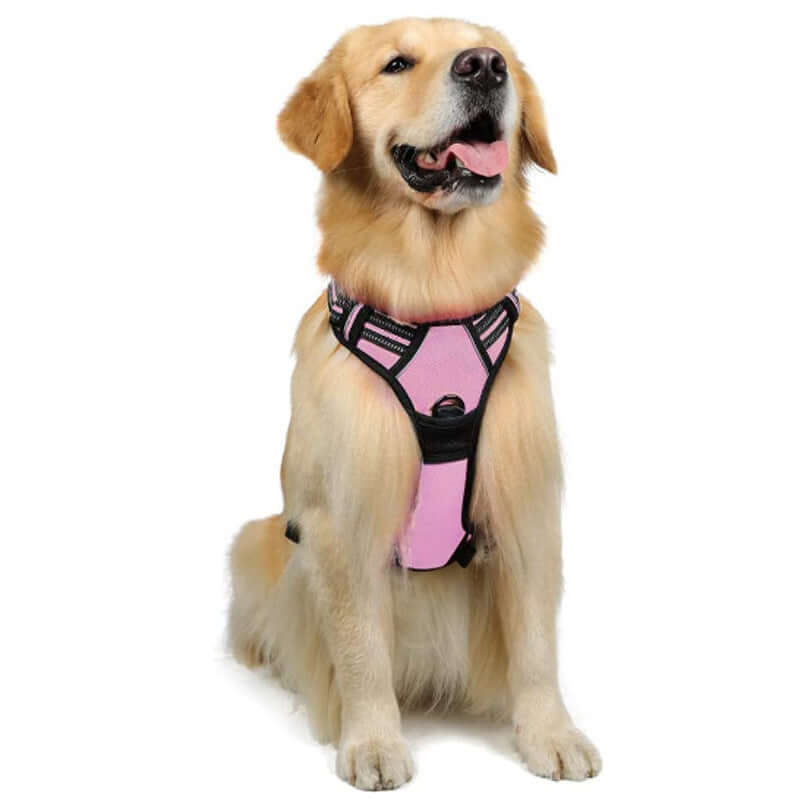 Gilet de chien rose pour grands chiens, conçu pour le confort et la sécurité lors des promenades.