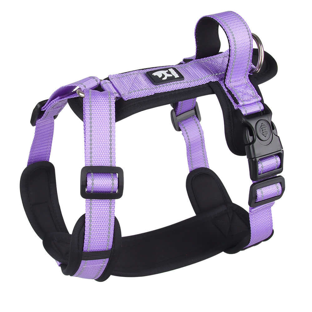 Harnais de sécurité pour chien en violet, conçu pour un confort optimal et une utilisation facile lors des promenades.