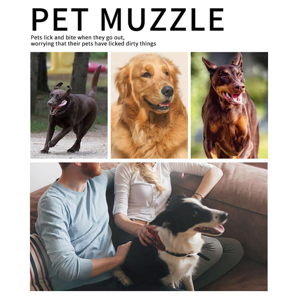 Confortable muselière en cuir pour chiens, adaptée à la prévention des morsures et au bien-être animal.