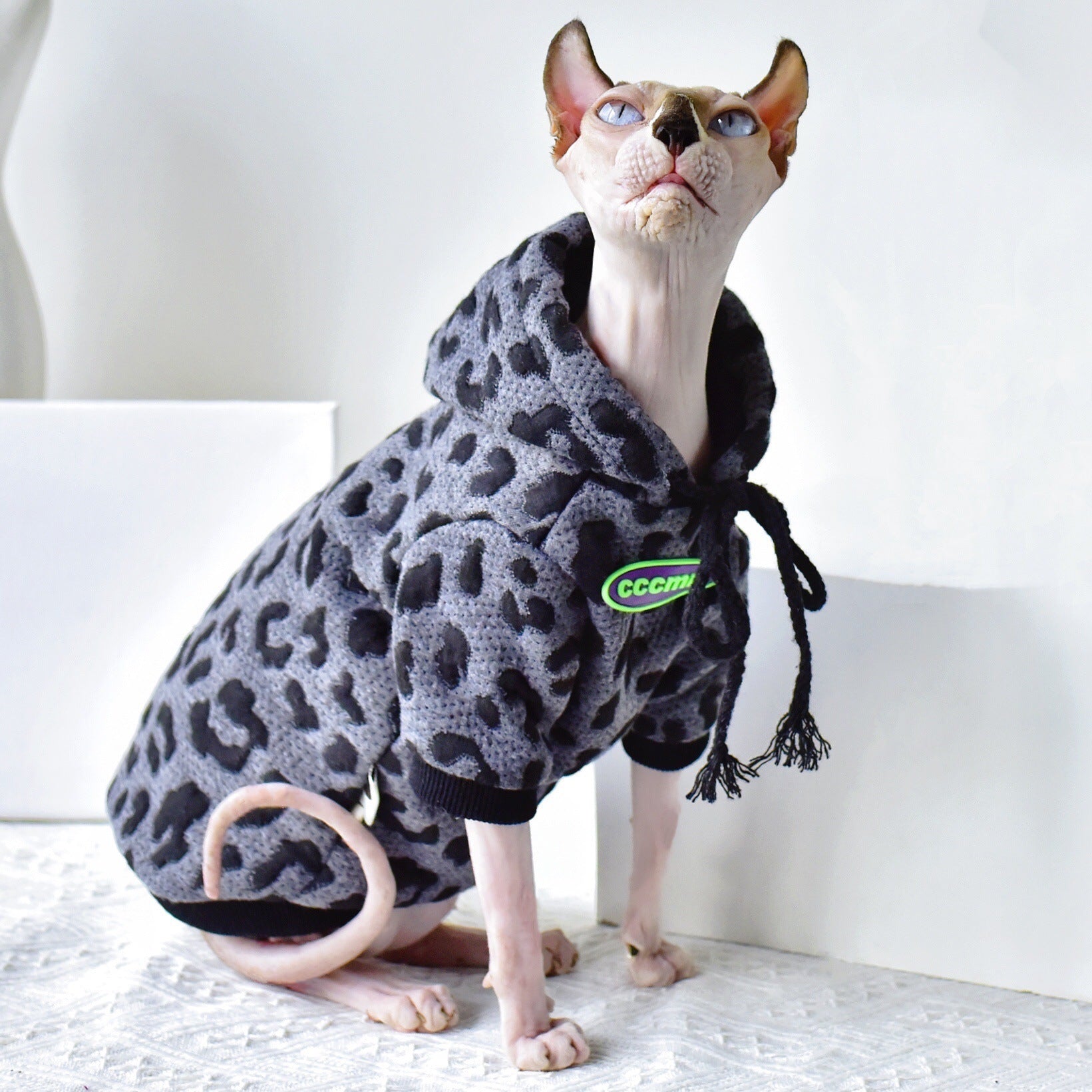 Pull camouflage en coton pour chats Sphynx, doux et stylé, parfait pour les temps frais.