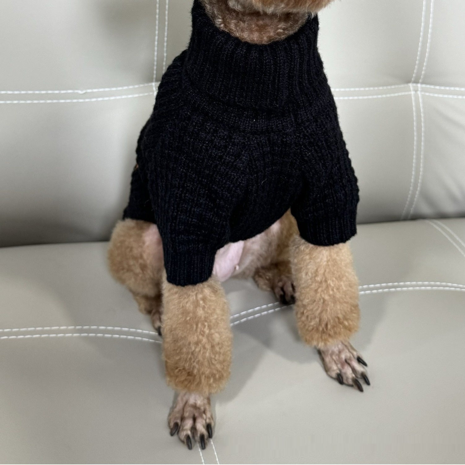 Pull en tricot turtleneck noir pour chien, offrant confort et style sur un canapé.