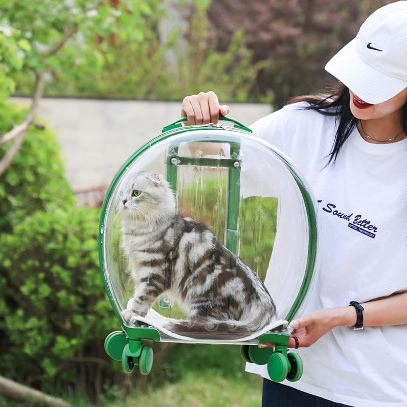 Sac à dos trolley transparent pour chats avec un chat assis à l'intérieur, conçu pour le confort animal.