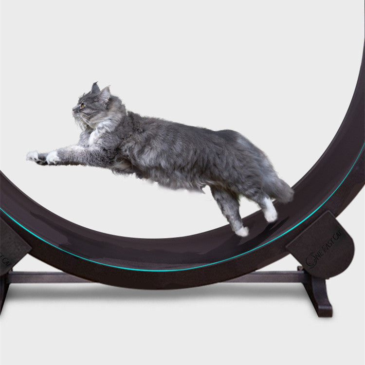 Roues de Course pour Chats - Jouets de Fitness