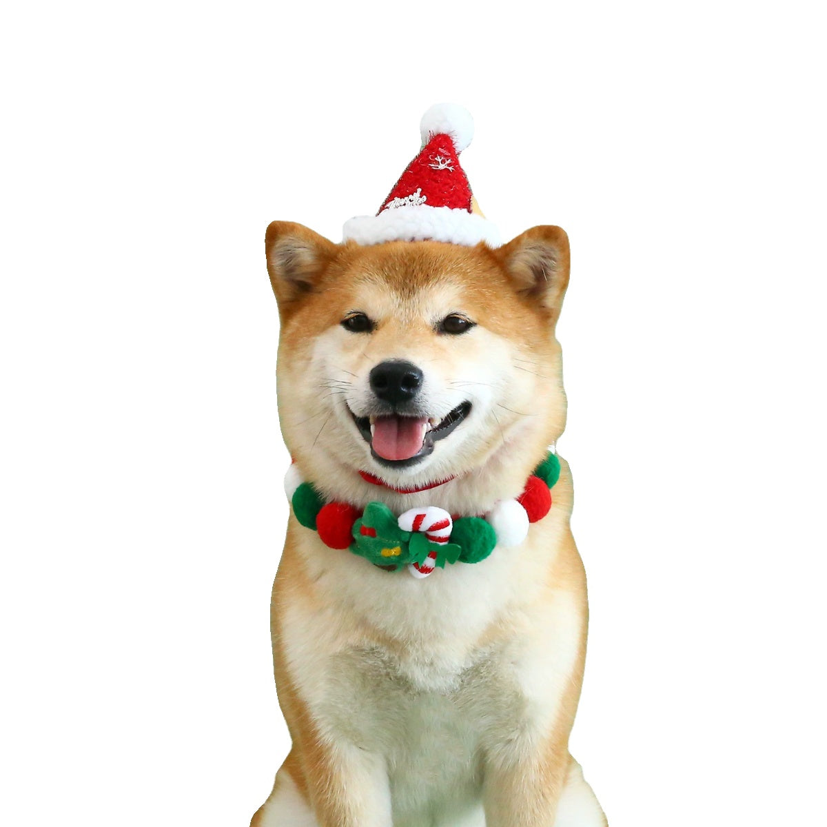 Chien portant un collier en peluche Noël et un chapeau de Noël, prêt pour les fêtes.