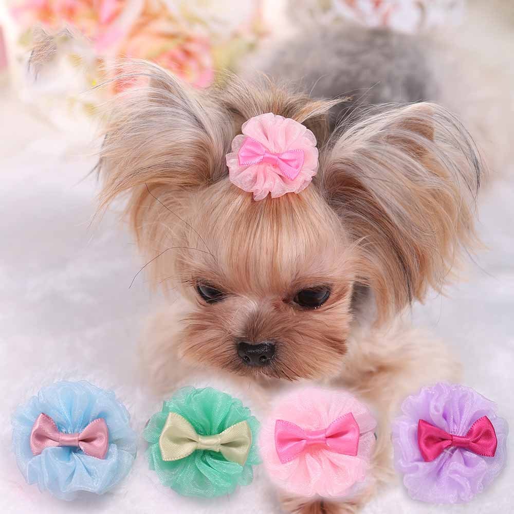 Épingle à cheveux en organza pour chien dans quatre couleurs, ajoutant du style aux animaux de compagnie.