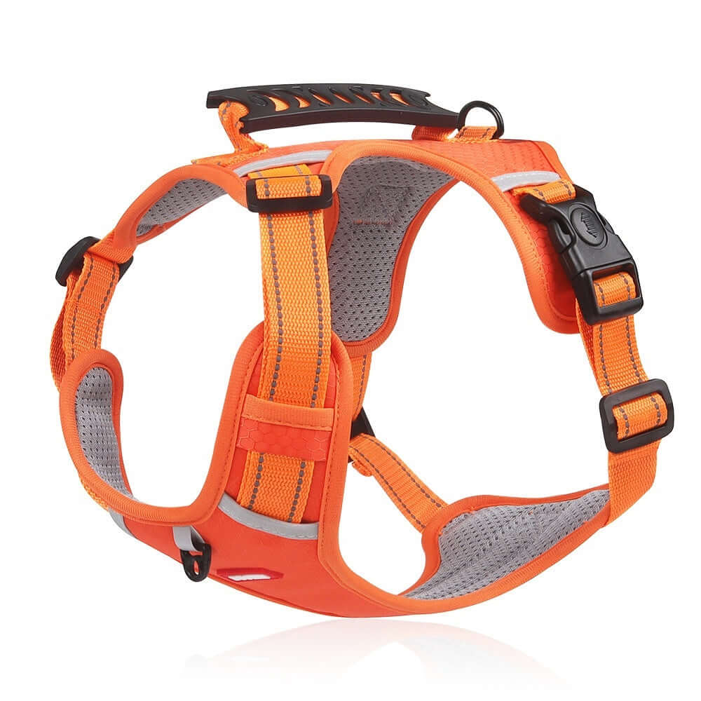 Harnais de sécurité pour animaux en orange, conçu avec tissu Oxford et accessoires de qualité pour le confort des animaux.