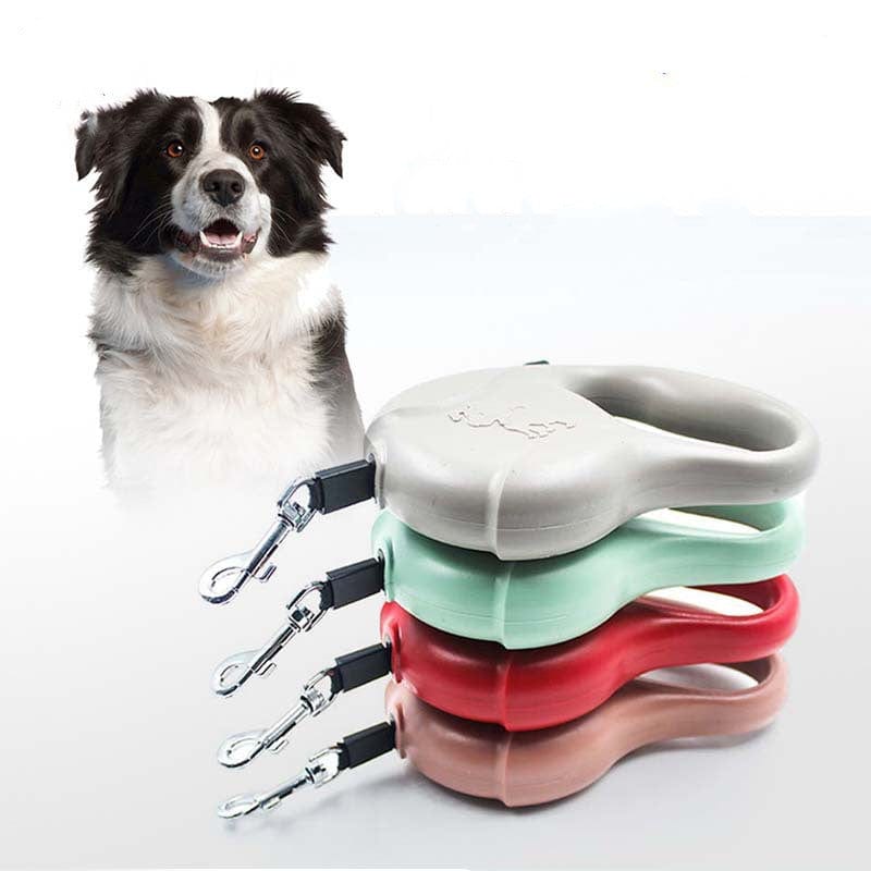 Laisse pour chien automatique à enrouleur en quatre couleurs avec un chien heureux en arrière-plan.
