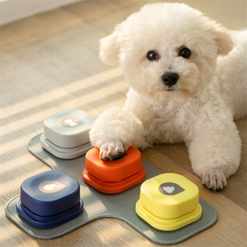 Bouton de Communication pour Animaux - 4 Couleurs