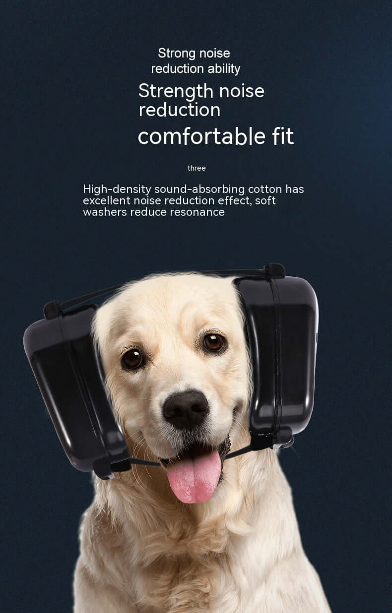 Chien avec cache-oreilles anti-bruit, offrant confort et protection lors de la chasse.