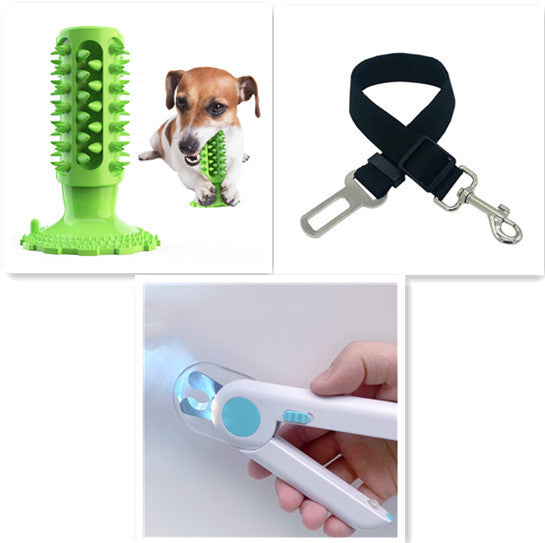 Brosse à Dents pour Chien Stick Molaire