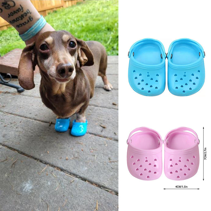 Chien avec des chaussures en silicone bleu, montrant une protection pour pattes, idéal pour les aventures en plein air.