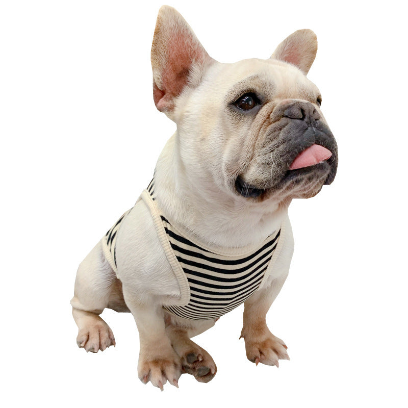 Un chien français élégant portant un débardeur en coton à rayures pour l'été, parfait pour le confort et le style.