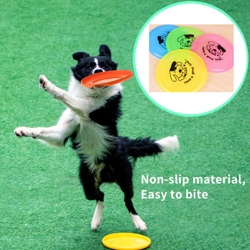 Jouets interactifs pour chiens en extérieur