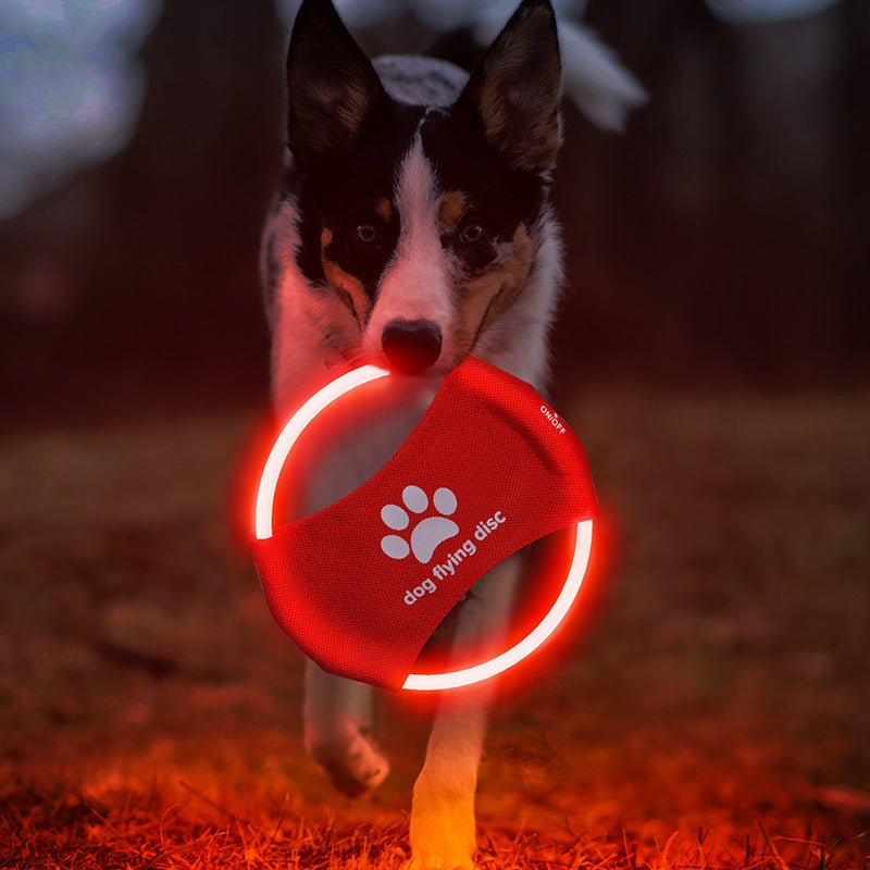 Disque Volant LED Lumineux pour Chien