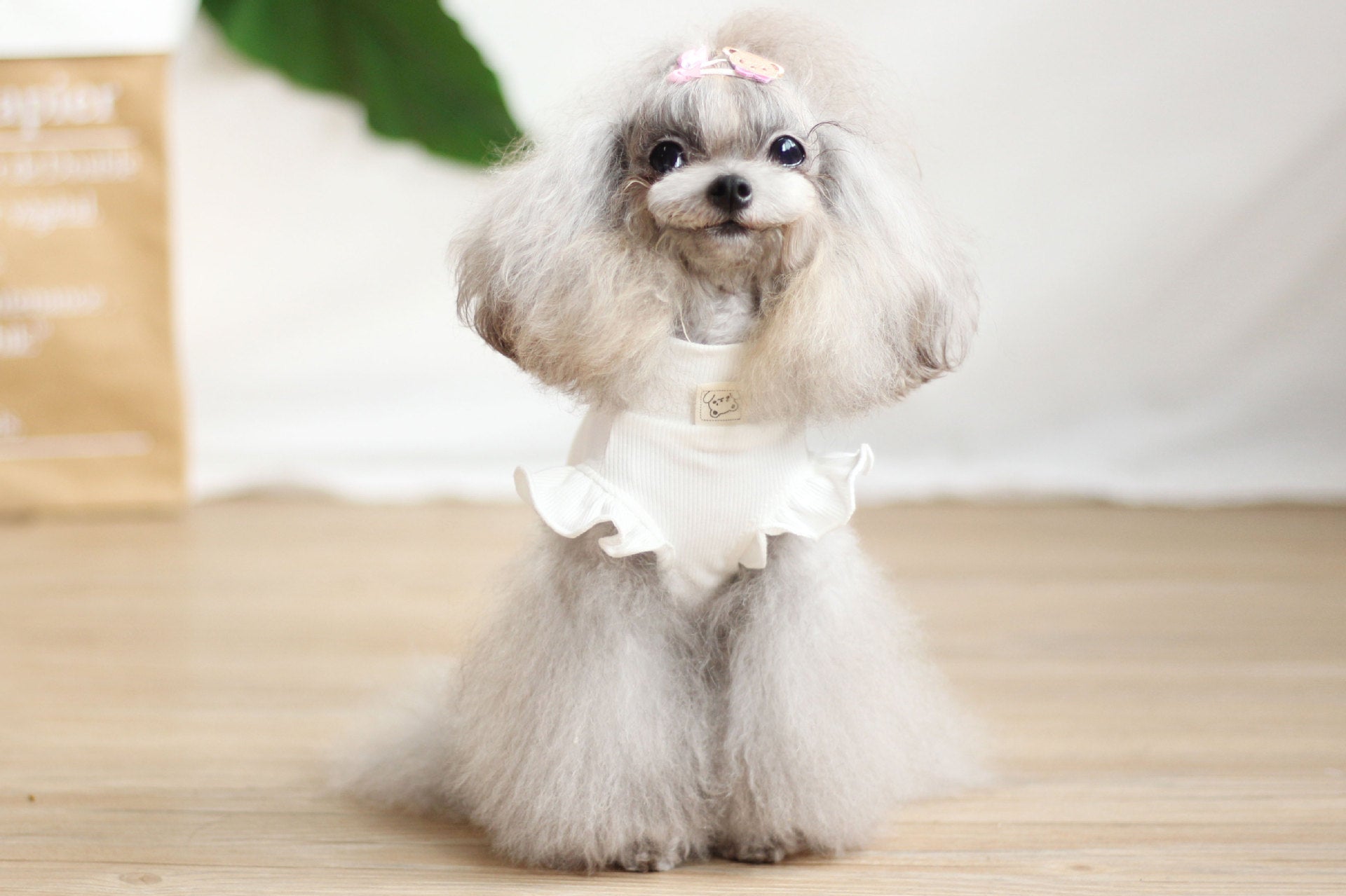 Petit chien avec jupe salopette cartoon en coton blanc, ajoutant style et confort à sa garde-robe.