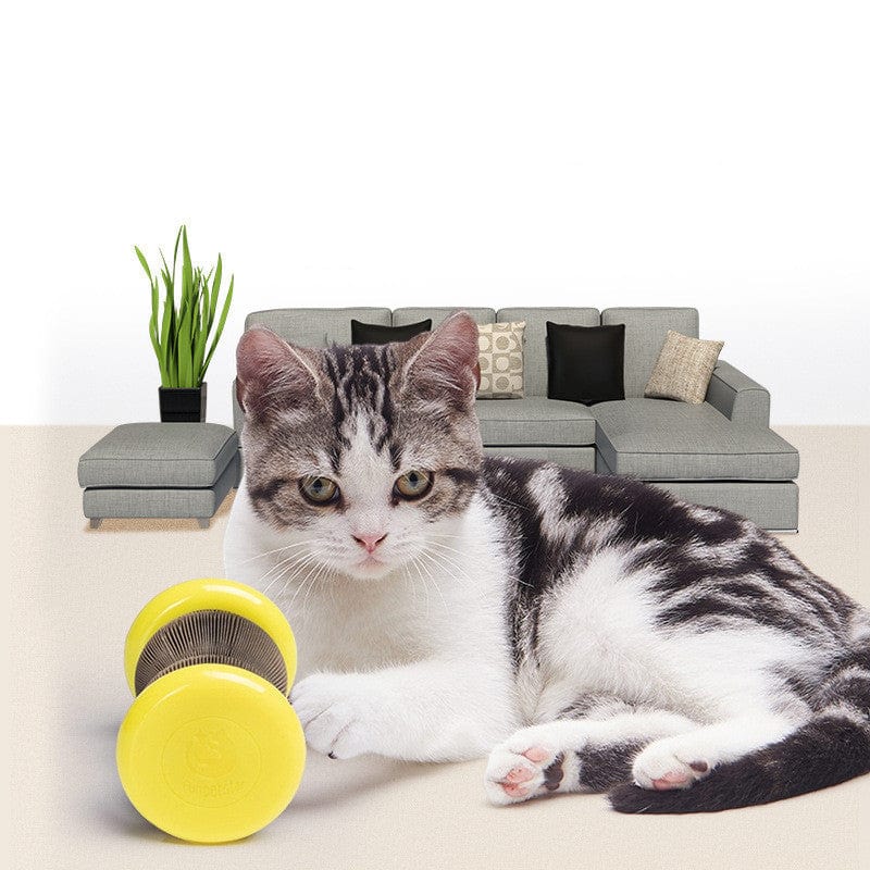 Chat joueur avec Roues Magiques en Papier Ondulé sur un tapis, dans un salon moderne.