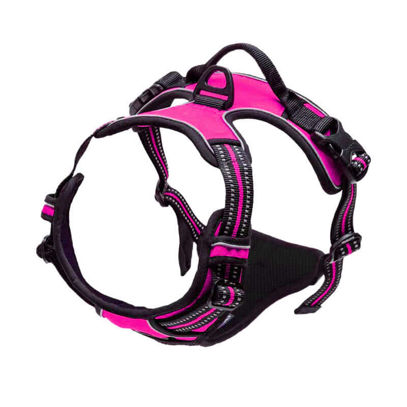 Harnais de sécurité pour chien en noir et rose, conçu pour le confort et la sécurité des animaux en extérieur.