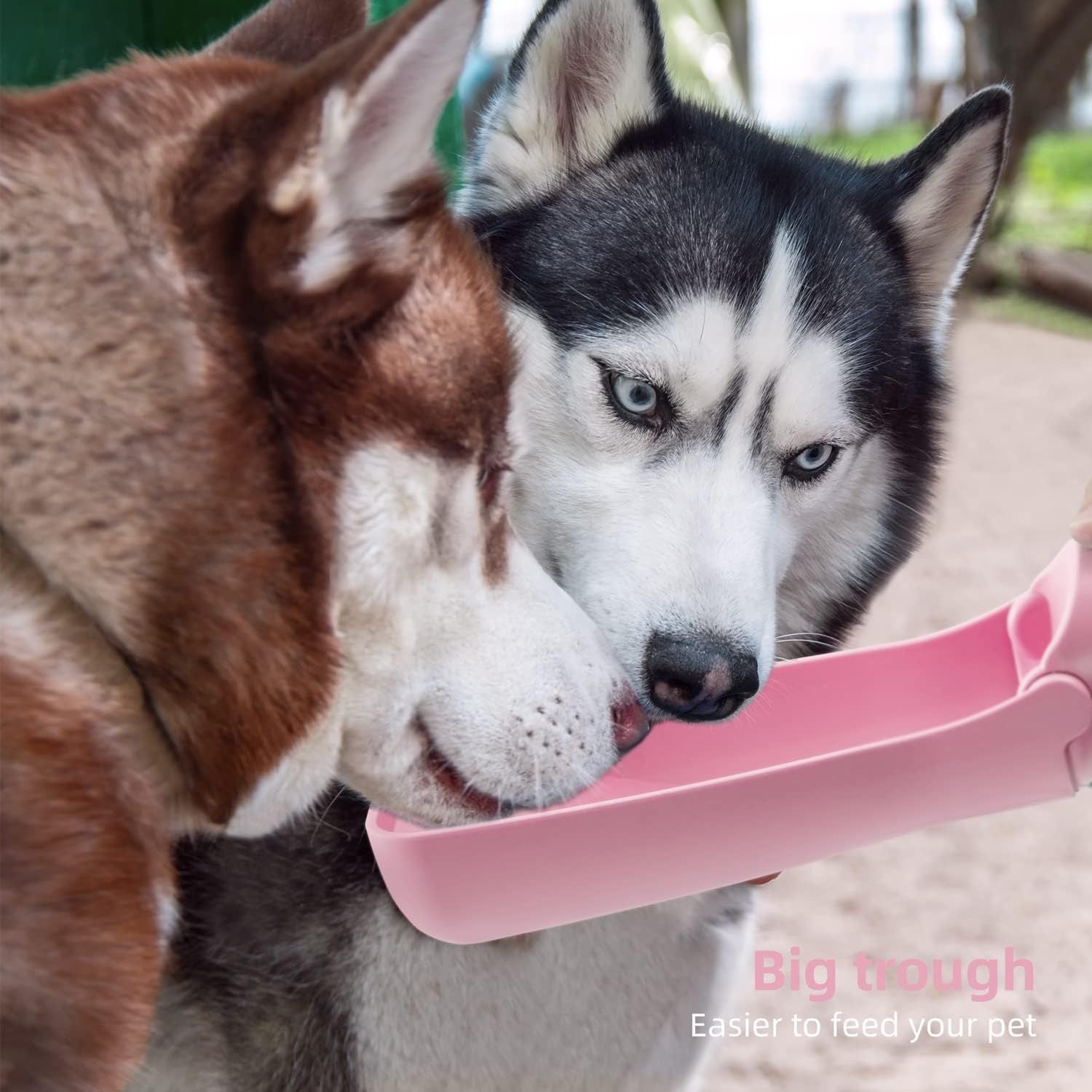 Deux chiens de race husky partageant une grande gamelle rose pour un repas facile et pratique.