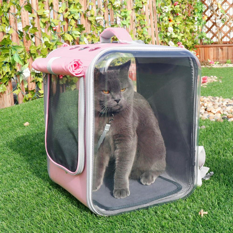 Sac à dos de transport pour chat en forme de capsule spatiale avec un chat gris à l'intérieur.